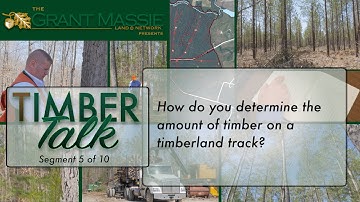 Timber Talk:  How do you determine the amount of timber on a timberland tract? (5 of 10)