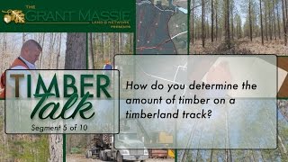 Timber Talk:  How do you determine the amount of timber on a timberland tract? (5 of 10)