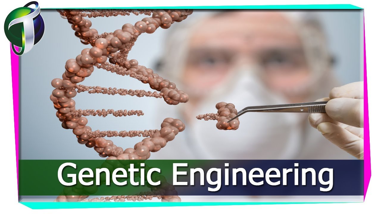 Engineering CRISPR Urdu Hindi YouTube