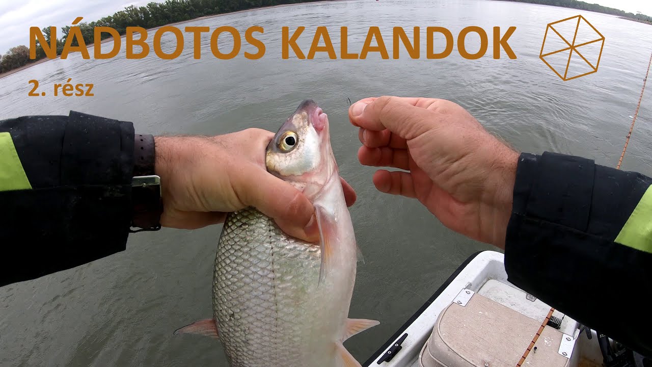 Nádbotos kalandok 2. rész - Szilvák az esőben