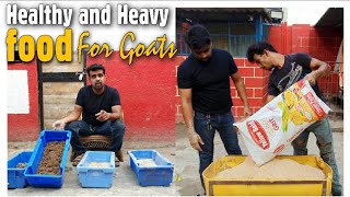 Healthy and Heavy Diet for Goat at STAR GOATS FARM Asif STD