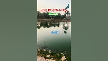 اجمل تلاوة و اجمل صوت من مزامير داوود و تلاوة مريحة للأعصاب #قران_كريم #قران #تلاوة_خاشعة