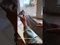 Распаковка госномера #даймнезнак #авто #госномер #numberplates #доставка