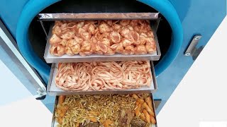 видео: Сублимационная сушилка бытовая картинка: Сублимационная сушилка бытовая