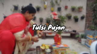 तुलसी पूजन || Sushma Covers || viral trending music song tulsi puja vlogpujavlog devotional