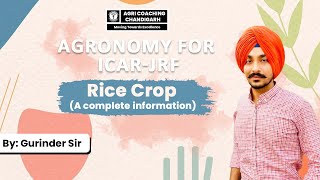 AGRONOMY || RICE CROP || ICAR-JRF ||