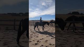 pherone going for a morning horseback ride