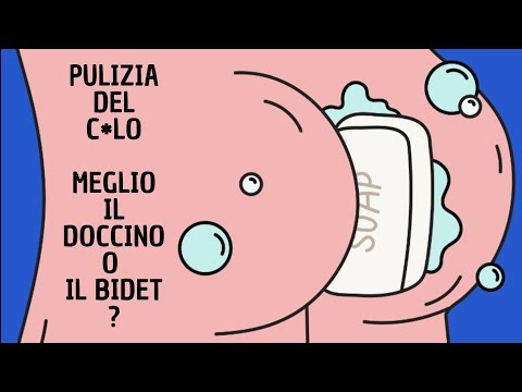 Video: WC con doccia igienica. Doccia igienica al posto del bidet