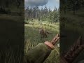 RDR2 Cougar not to be messed with