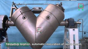 Agaricus Bisporus Spawn Machine——V-blender