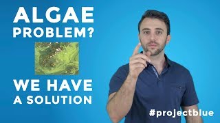 Algae Problem? We Have a Solution Wealth