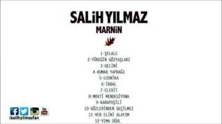 Salih Yılmaz - Şelale Resimi