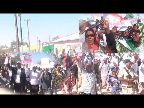 Shacabka Gabiley Oo Bannaanbax Ku Xusay Maalinta Dhalinyarada Somaliland