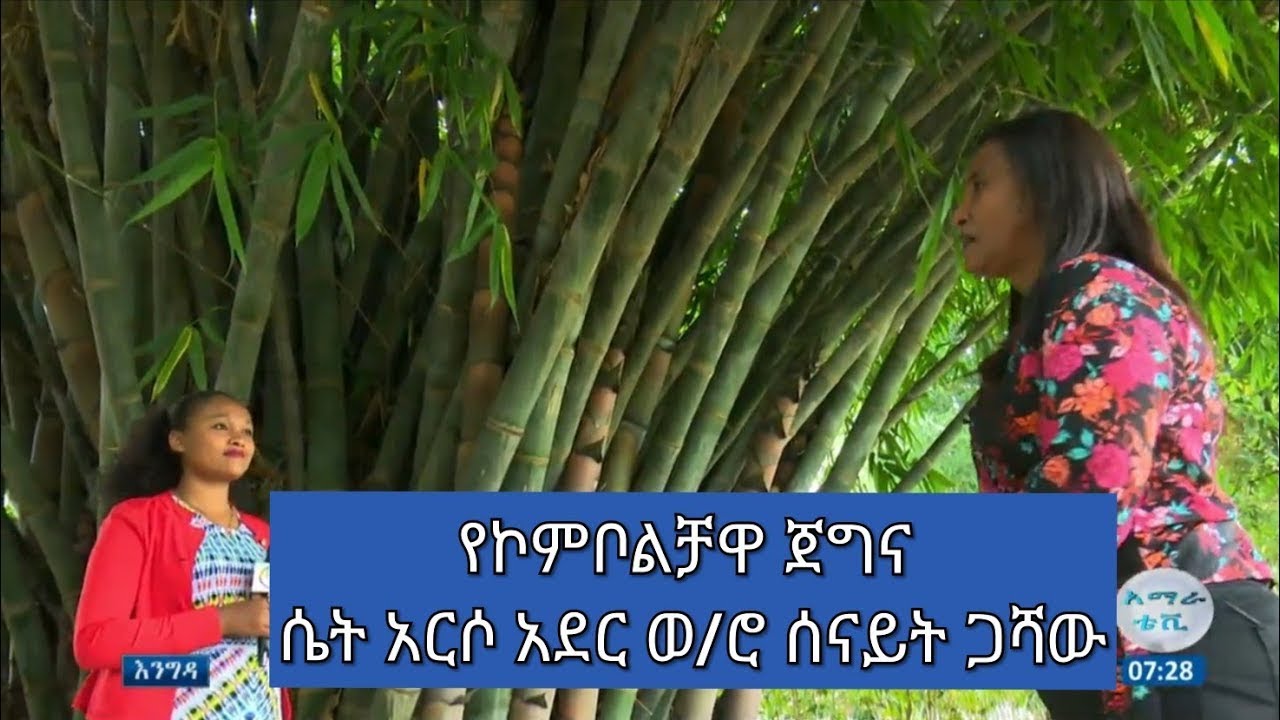 የኮምቦልቻዋ ጀግና ሴት አርሶ አደር ወ/ሮ ሰናይት ጋሻው