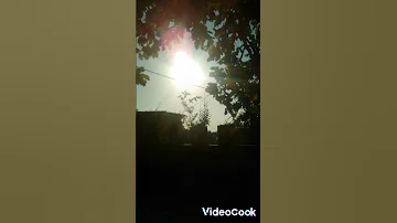 ايمن العمري 