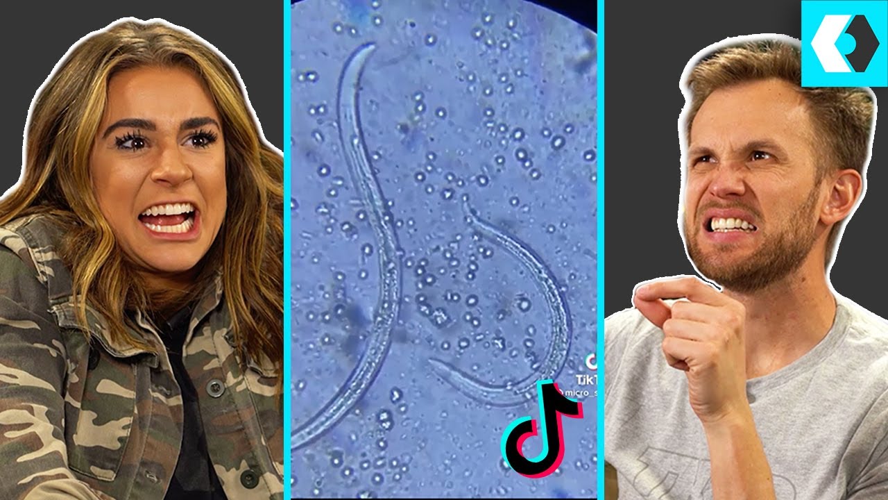 Are These Really Hiding In Our Sink? - REACTS