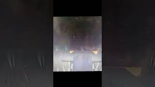 9 naga niboss Mafia paling santai seperti macan yang ter tidur 🔥🔥 #fyp #animasi@Bima_Series