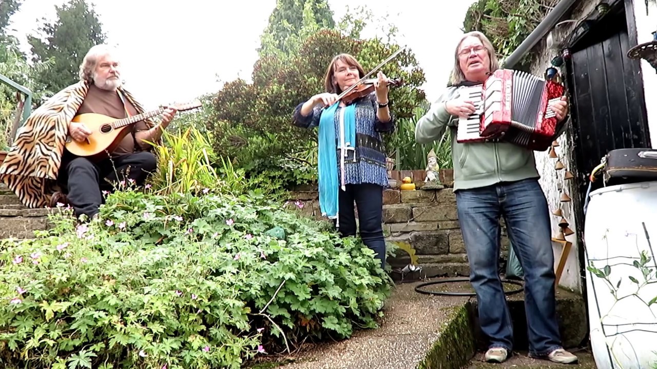 Mexican Rose by The Falling Angels