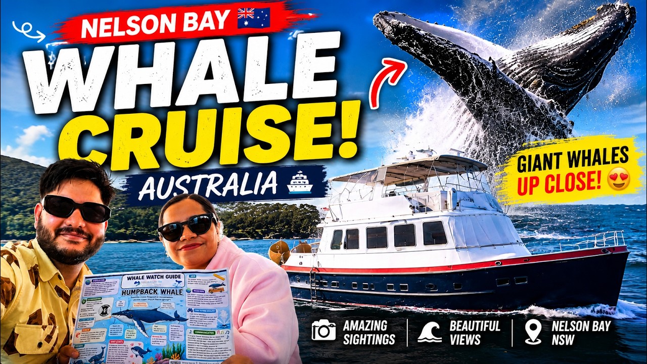 🇦🇺Australia  🇦🇺| Whale Watching Vlog | Nelson Bay Cruise | Indian in Australia 🇮🇳🇦🇺