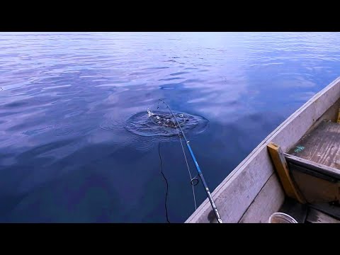 Mancing di Bawah Masjid Ar Rahman Pulau Majang