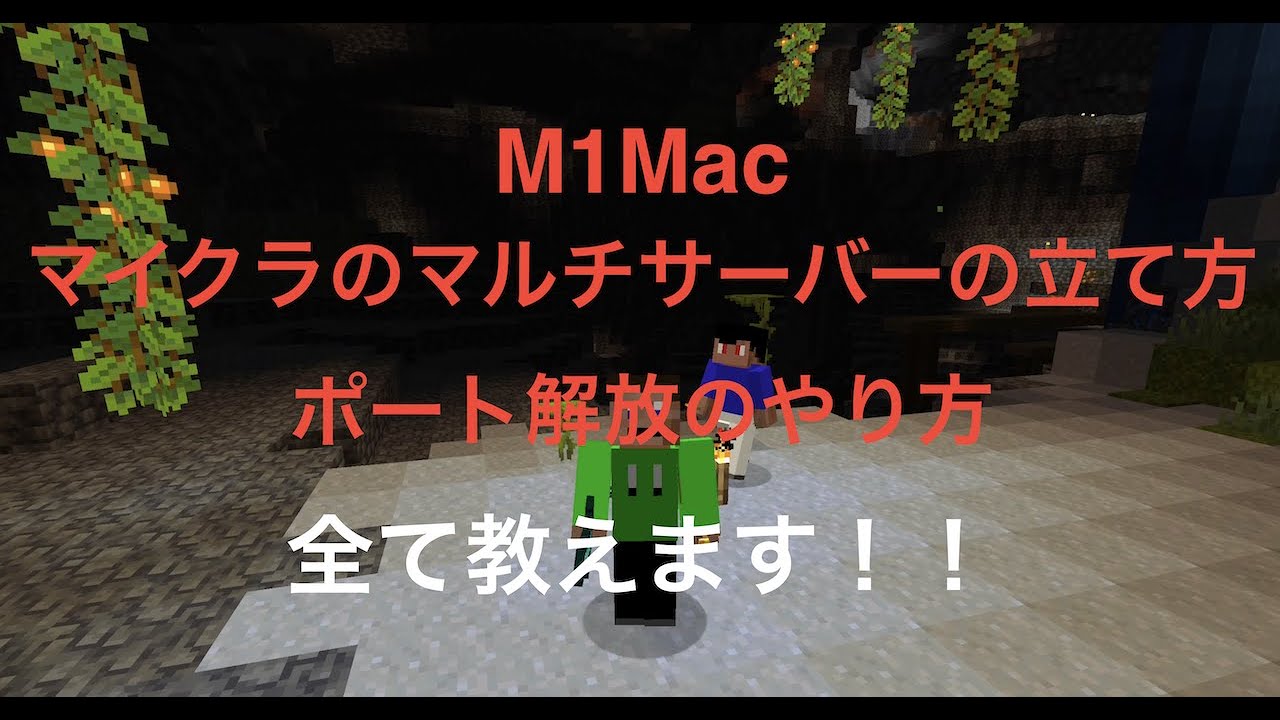 M1macでマイクラ Java版 のマルチサーバーを立てる方法を解説 Ip固定方法まで詳しく解説 Kimama Game