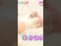 佐久間×猫＝尊い#snowman #佐久間大介