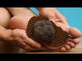ASMR Medical Scalp Clinic Sterile Treatment for Deep Sleep & Relaxation