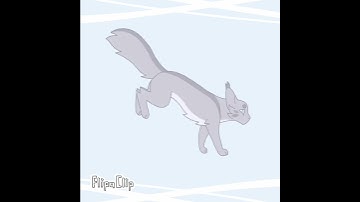 Feathertail run cycle