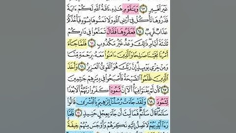 تيسير حفظ سورة هود بالتكرار الوجه التاسع الآيات (63-71) مكرر 5 مرات بصوت الشيخ عبد الباسط عبد الصمد