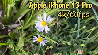 Apple iPhone 13 Pro 4k/60fps Video Sample