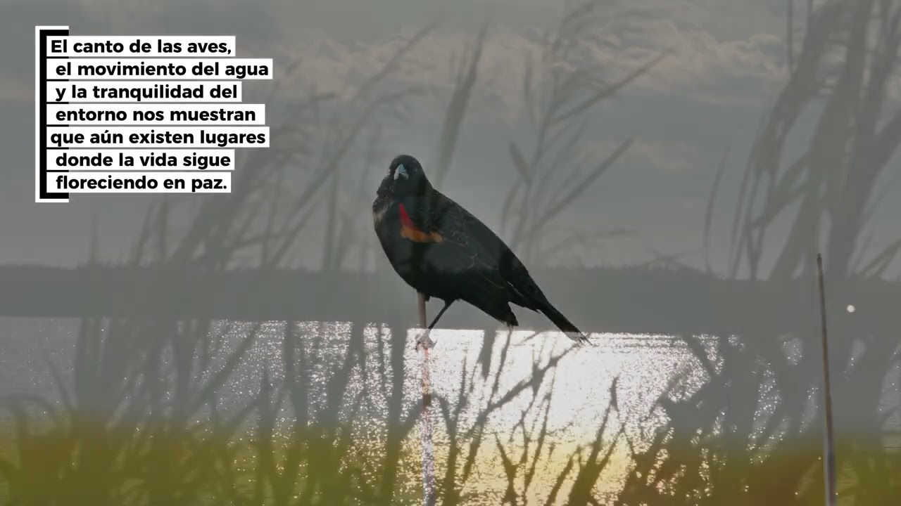 Explorando el refugio Jocelyn Nungaray | Naturaleza y conservación en Texas