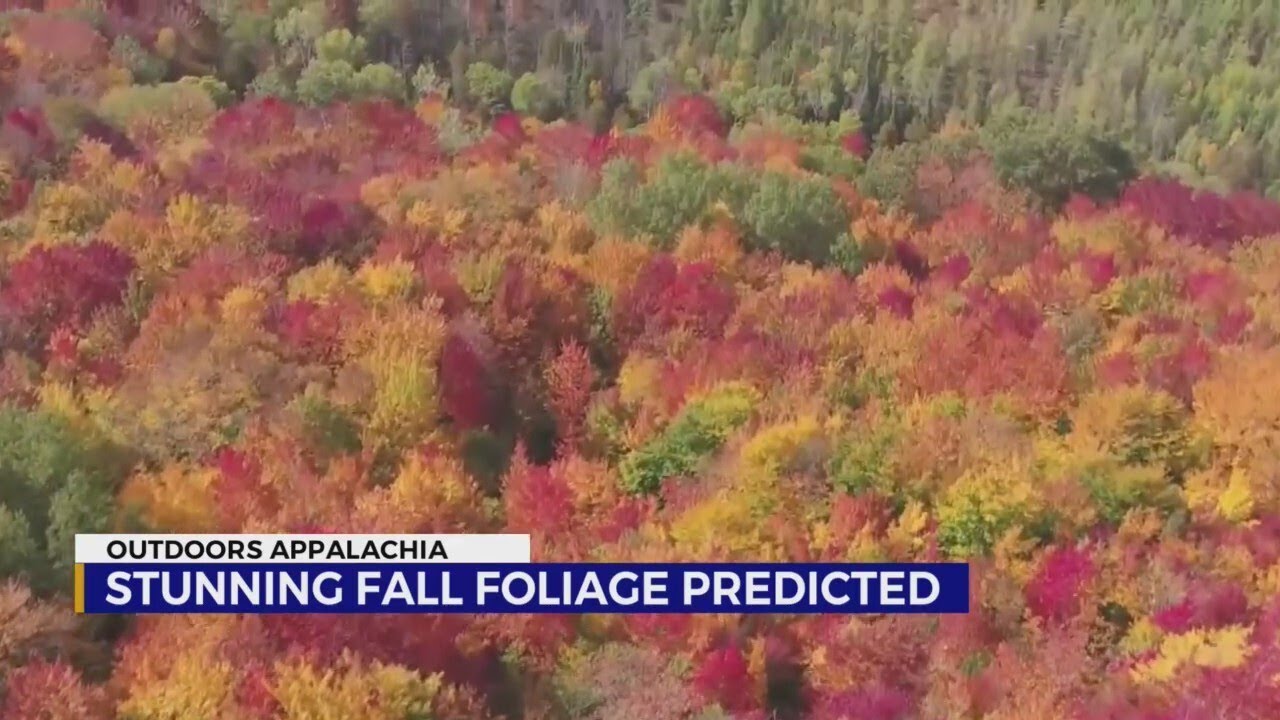 ETSU: Remarkable fall color season predicted for Appalachian Mountains