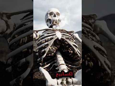 ماذا يحدث لجسم الانسان بعد الموت رحلة التحلل داخل القبر خطوة بخطوة 