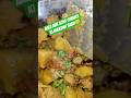 ese bnae Aalu aur soya chunks ki majedar sabji#viral #deoghar #mrs.ranivlogs22 #youtubeshorts