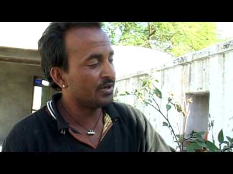 Video: Razlika Med Učinki Henbane In Datura