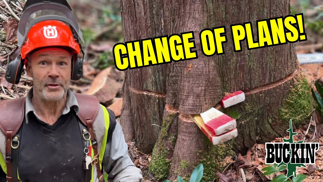 We Weren’t Expecting This Call. LET’S GO! 