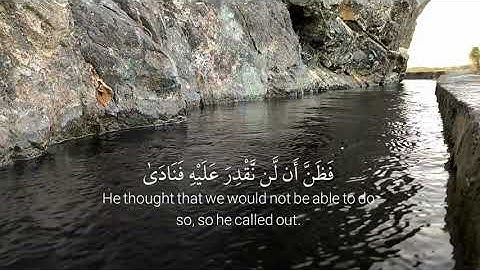 وذا النون إذ ذهب مغاضبا 🐋، تلاوة 🍃طارق محمد 🎤، تصويري 📷