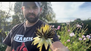 How to Save your own flower Seeds