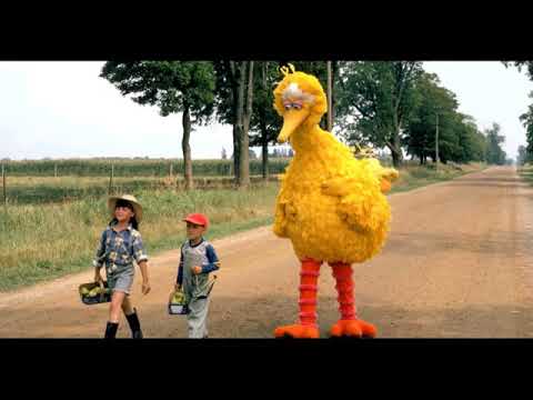 Sesame Street Follow That Bird: Easy Going Day