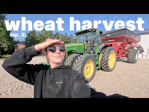 vlogging like we're on facetime during harvest | wheat harvest episode 2