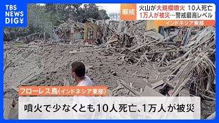 インドネシアの離島フローレス島の火山で大規模噴火　少なくとも10人死亡　1万人以上が被災｜TBS NEWS DIG