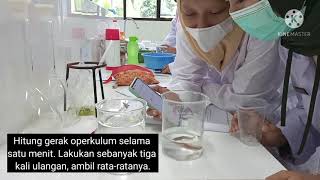 Praktikum Penyesuaian Hewan Poikiloterm Terhadap Oksigen Lingkungan
