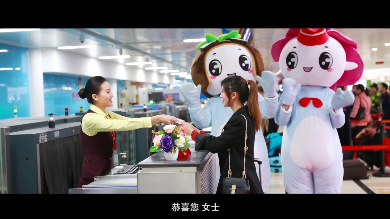 Meilan airport becomes the No.18th delivering 20 million passengers in China