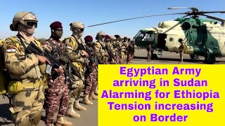 Egyptian Army arriving in Sudan | Tension increasing on Ethiopia Sudan border | Alarm for Ethiopia