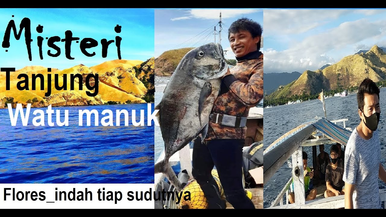 Watu Fish Misteri Tanjung Watu Manuk_Keindahan Perbukitan_Spot Spearfishing ...