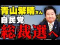 減税を訴える青山繁晴さんを必ず総裁選へ！安倍晋三元総理の政策の完成を目指します。