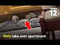 Rats invade NYC apartment, crawl into bed and through walls, tenant says