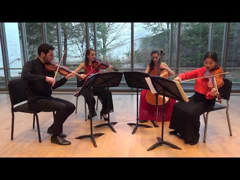 Beethoven String Quartet Op. 95 "Serioso" IV | Almas Quartet