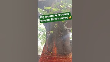 पितृ अमावस्या के दिन शाम के समय एक दीपक जरूर जलाएं 🪔🙏 #trendingshorts #pradeepmishrajidhankeupay