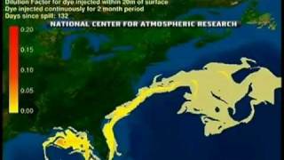 Gulf Oil Spill Loop Simulation Loops Florida